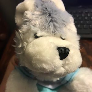 Webkinz husky